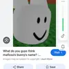 mitchelldarlingca - @mafiosos_bunny - TikTok