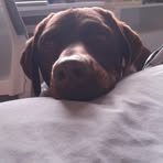 Mitchell Dawson - Facebook