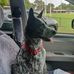 Mitchell Day - Facebook