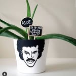 Mitchell Dick - @mitchd609 - Instagram