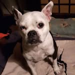 Mitchell Easton - @mitchell.easton.336 - Instagram