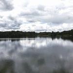 Mitchell Edwards - @mitchelledwardsart - Instagram