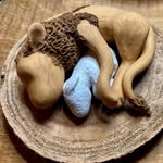 Mitchell Estep - @mtnencounter - Instagram