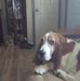 Mitch Farley - Facebook