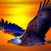 Mitch Farley - Facebook