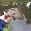 Mitchell Farmer - @mitchell.farmer2 - TikTok