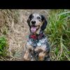 mitchellfarmer638 - @mitchellfarmer638 - TikTok