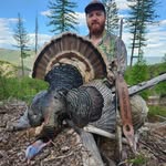 Mitchell Faulkner - @mitchellfaulkner9 - Instagram
