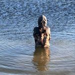 Mitchell Fields - @mitchellfields16 - Instagram