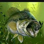 Mitchell Fields - @mitchell.1231 - Instagram