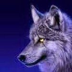 Mitchell Fields - @mitchell.fields.75 - Instagram