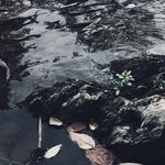 Mitchell K Fields - @mitchellkfields - Instagram