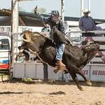 Mitchell Fleming - @bullrider19991 - Instagram
