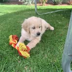 Mitchell Flood - Facebook