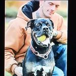 Mitchell Fox - @the_fox1986 - Instagram