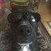 Mitchell Fry - Facebook