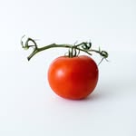 Mitchell Community Garden - @mitchell.community.garden - Instagram