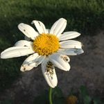 Mitchell Caine Gaskins - @mcgaskins - Instagram
