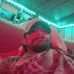 Mitch Gates - Facebook