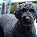 Mitchell Geller - @geller.mitchell - Instagram