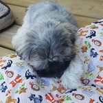 mitchell torgerson - @torgersonmitchell - Instagram