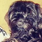Mitchell_Gilley - @mitchell_gilley2 - Instagram