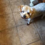 Mitchell Glass - @mitchell.glass.5494 - Instagram