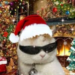 Mitchell Goodman - @mrtotallycool8_8 - Instagram