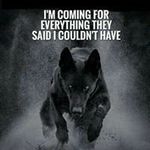 Mitchell Goodwin - @goodwin.mitchell - Instagram
