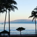 Mitchell Greenbaum - @gbaum44 - Instagram