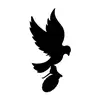 Mitch - @mitchellgreene45 - TikTok
