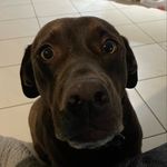 Mitchell Gross - @muriks_1 - Instagram