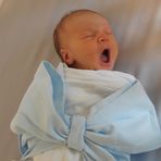 Lauren Mitchell Guin - Facebook