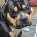 Sheri Mitchell Gunter - @sherimitchellgunter - Instagram