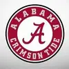 mitchellgustafson - @mitchellgustafson - TikTok