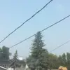 Mitchell Haas - @yaboimitch420 - TikTok