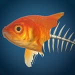 Mitchell Haley - @orangefish488ftff - Instagram