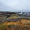 Mitchell Hamilton - @mitchell.hamilton7 - TikTok