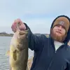 mitchellhamm68 - @mitchellhamm68 - TikTok