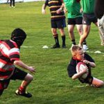 Mitchell Hanley - @mitchhanley9 - Instagram