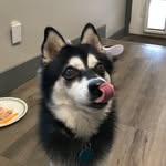 Mitchell Hansen - @mitchell.hansen.750 - Instagram