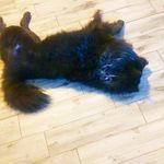 Mitchell Hardin - @bloodrage123321 - Instagram