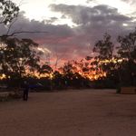 Mitchell Harding - @mitchell_harding44 - Instagram
