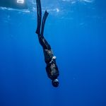 Mitchell Harrison - @mitchellfharrison - Instagram