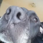 hayden Mitchell - @mitchellhayden63 - Instagram