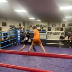 Hayden Mitchell - @haydenmitchell28 - Instagram