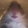 Mitchell Head - @alphageorge9 - TikTok