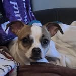 Kathy Mitchell Hearn - @hearn_kathy - Instagram