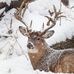 Mitchell Helms - Facebook