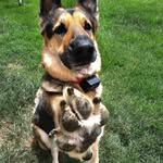 Mitchell Henson - @mitchellhenson525 - Instagram